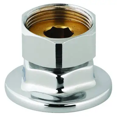 T&S Brass 00AA 1/2" NPT Female Eccentric Flanged Inlet