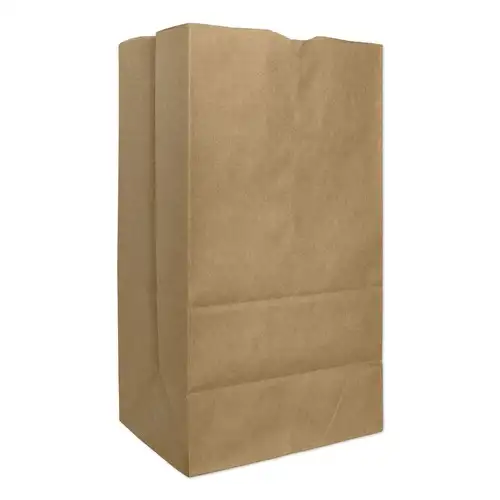Ross & Wallace Paper Products 130326 8.25 in. x 5.25 in. x 16.13 in. #25 Squat Size Extra-Heavy-Duty Grocery Paper Bags - Kraft (500/Bundle)