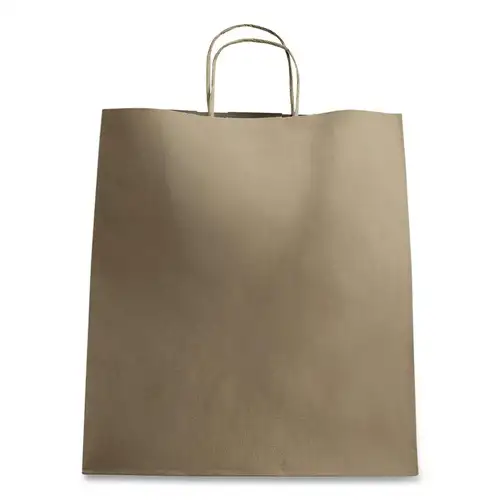 Karat Huntington 14 in. x 16 in. x 10 in. Paper Shopping Bag with Twisted Handles - X-Large (200/Carton)